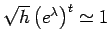 $ \sqrt{h}\left(e^{\lambda}\right)^{t}\simeq1$